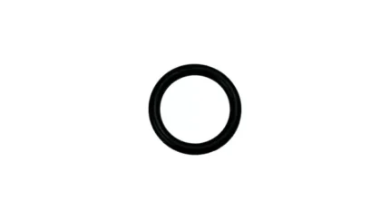 O-ring
